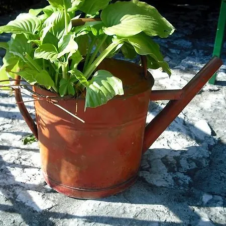 Soparnik *
