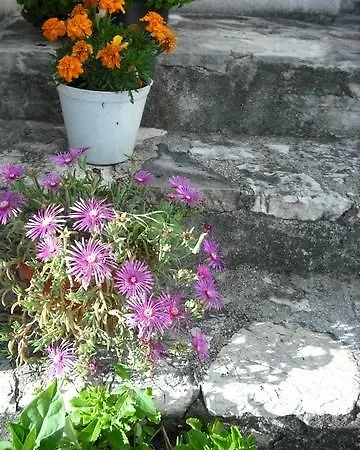 Soparnik Apartamento Gornji Dolac